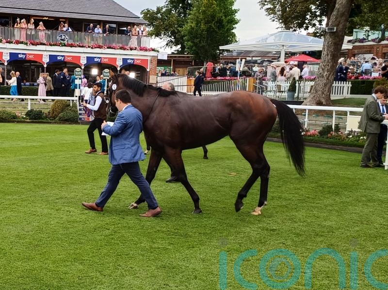 York Eyecatcher Skukuza can make Group race mark