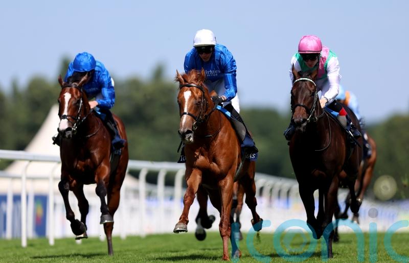 Publish in line for what could prove highly-informative Solario Stakes