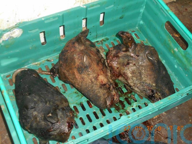Two men jailed for conspiring to sell meat meant for pet food to shoppers