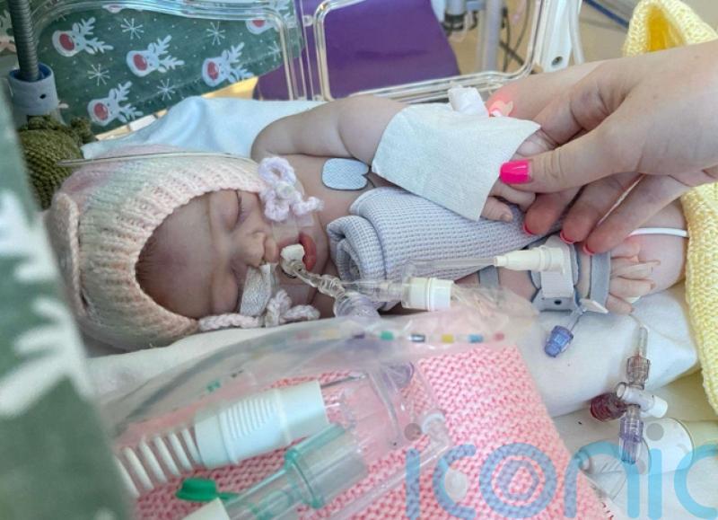 Lab-grown mini-lungs used to test new treatment for rare condition in babies