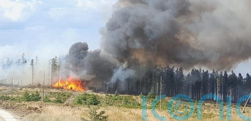 Second World War munitions hamper moorland blaze firefighters