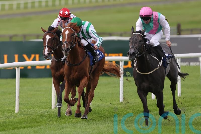 Red Letter confirms her class in Snow Fairy strike