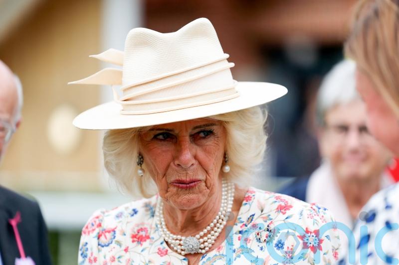 Camilla told Boris Johnson she was ‘attacked’ by man on train – new book