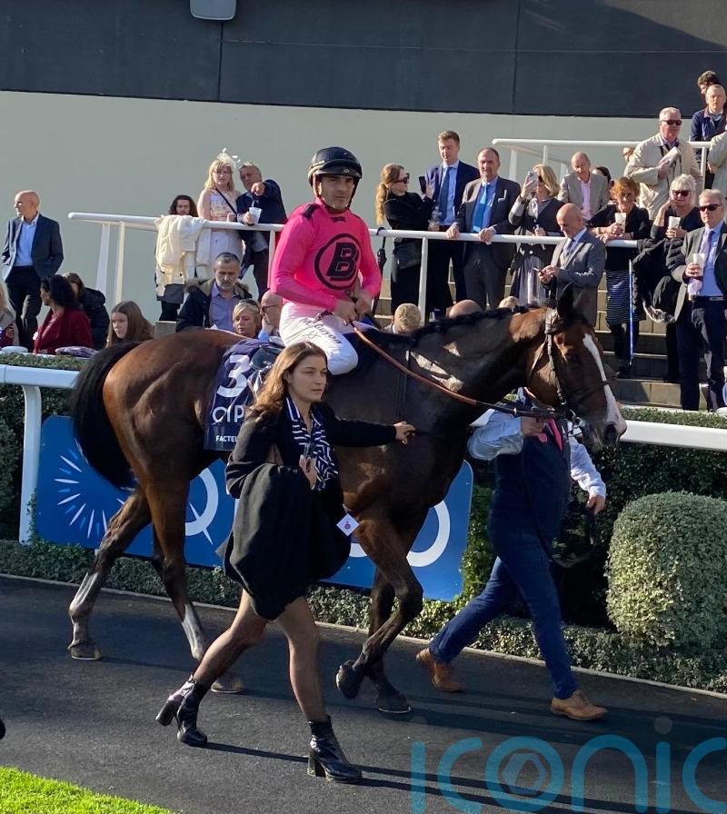 Facteur Cheval on course for third Champions Day appearance