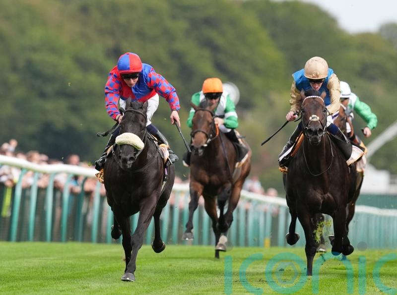 Big targets on the horizon for Sprint Cup hero Mojo