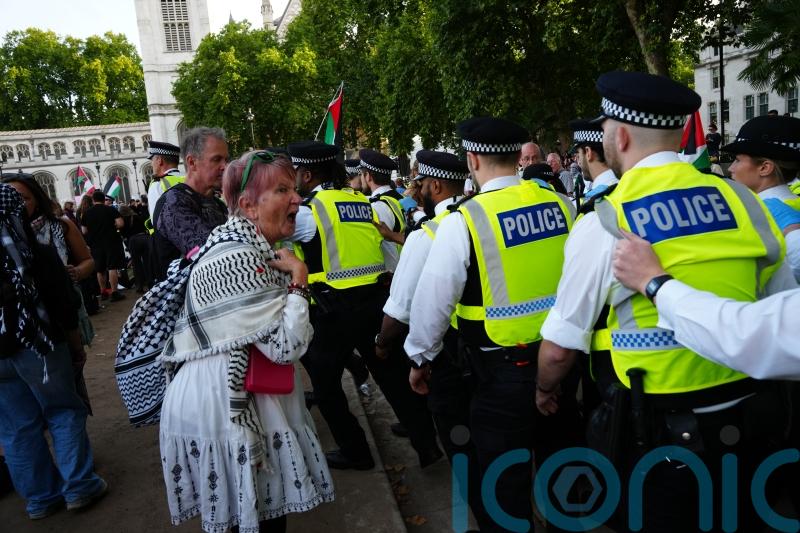 Palestine Action protest ‘peaceful’, organiser says as police claim abuse