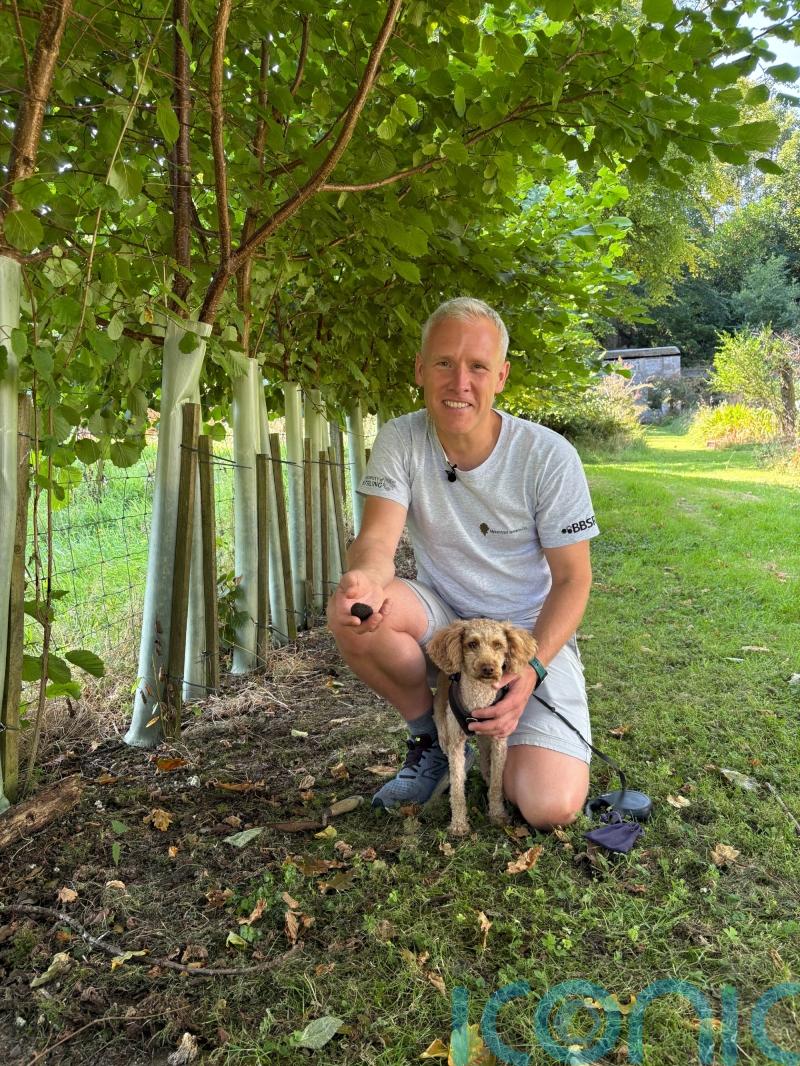 Professor’s joy as truffle is grown on Isle of Bute in ‘landmark’ moment