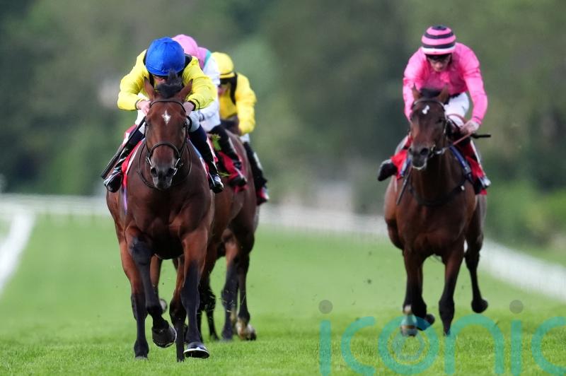 Conditions key to autumn target for Almaqam