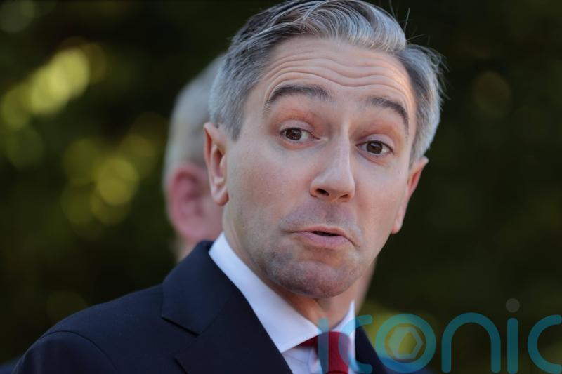 ‘Nonsense’ to suggest Fine Gael councillors should back independent candidates