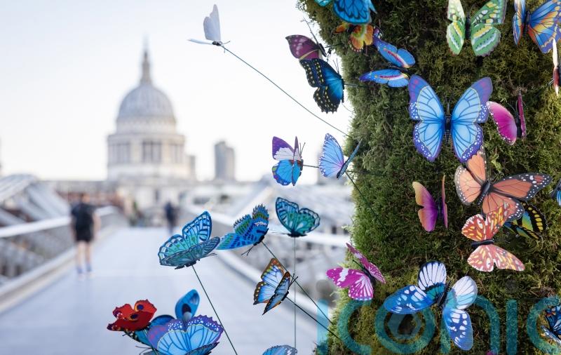 Parents who lost children to cancer ring St Paul’s bells in their memory