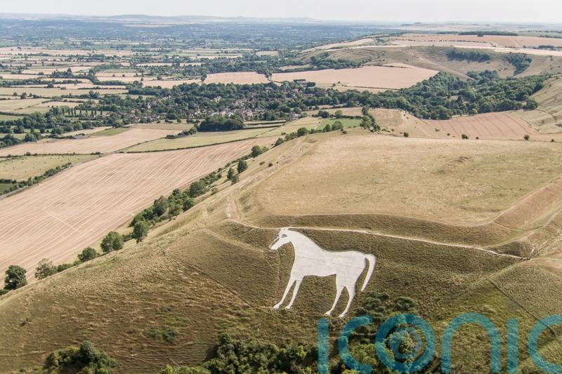 White horse landmark to be examined for damage after red cross pinned to it