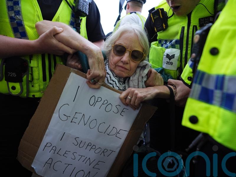 Arrest of ‘harmless old ladies’ what outlawed Palestine Action wants – Clarke