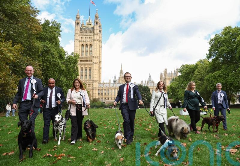 MPs joined by four-legged friends for Westminster dog show
