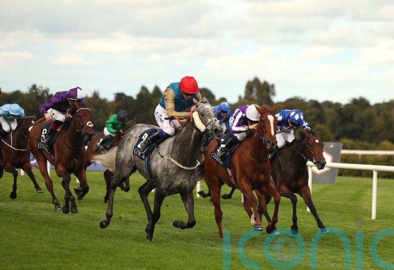 Fallen Angel soars to Matron Stakes success