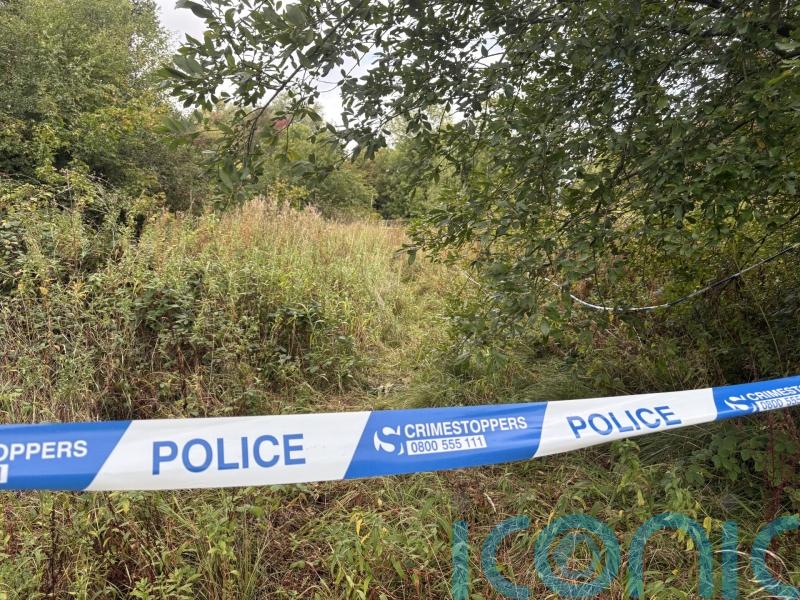 £10,000 reward offered for information leading to conviction of rape suspects