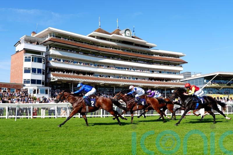 Look To The Stars blazes a Newbury trail for Charlie Appleby