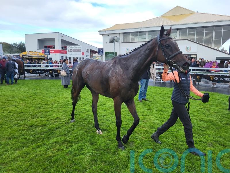 Bythesametoken makes triumphant return at Listowel