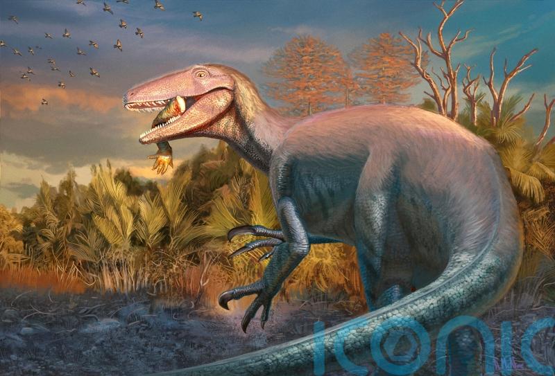 Scientists discover new dinosaur from Argentina with crocodile bone in its mouth