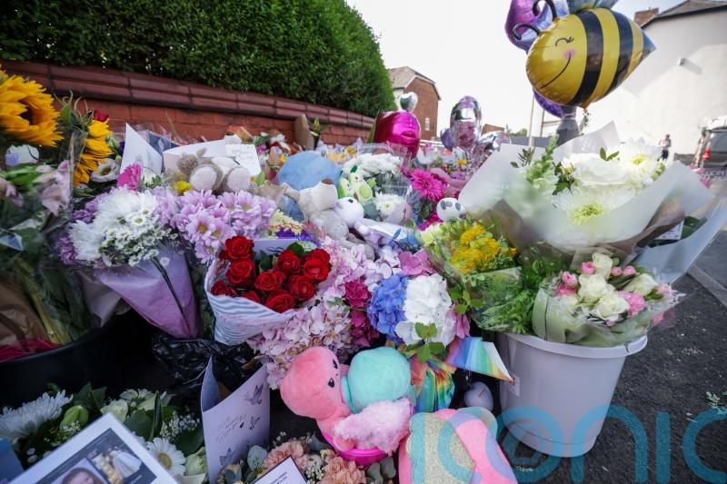 ‘Difficult’ to understand how one person caused so many injuries, inquiry hears