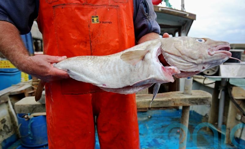Scottish ministers urged to end ‘pointless’ seasonal Clyde fishing closure