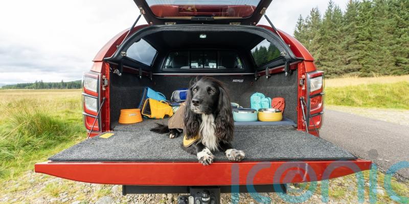 Isuzu goes for paw appeal with new dog-focused range
