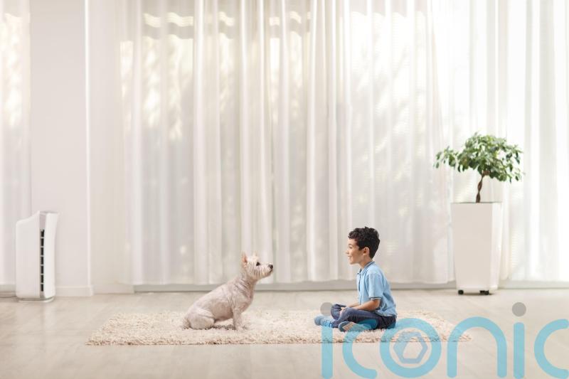 Children who grow up with dogs less likely to have asthma – study