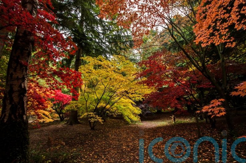 11 top arboretums to visit this autumn