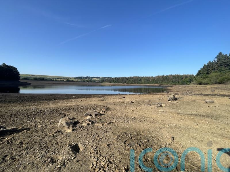 Rest of year ‘unlikely’ to see rainfall needed to recover from serious drought