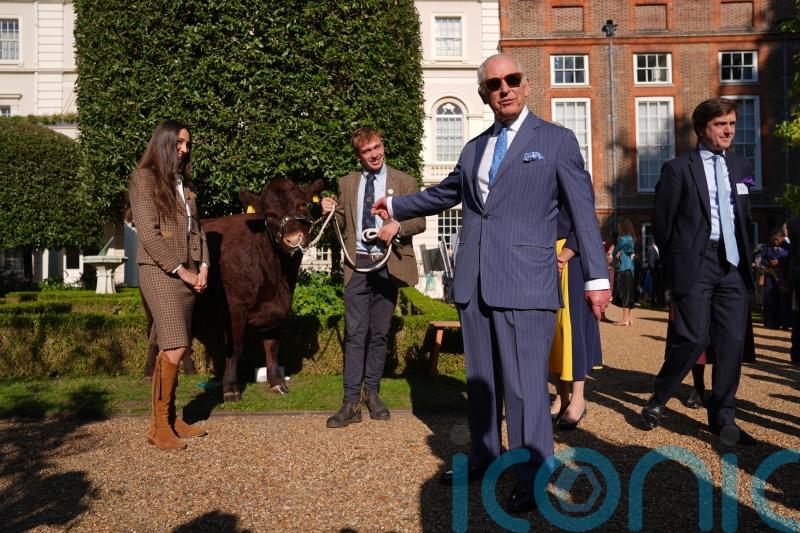 King meets cow on Clarence House lawns during charity reception