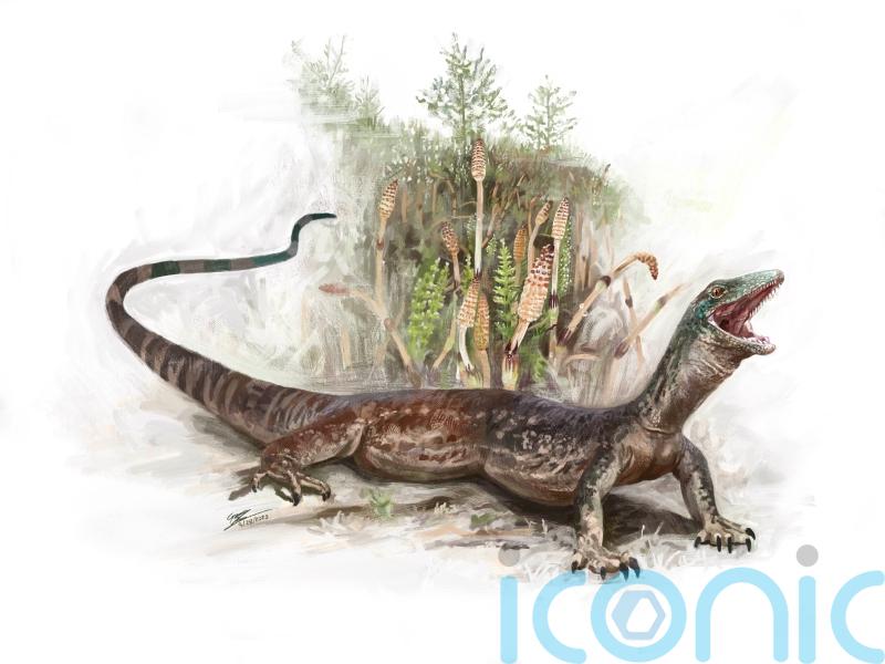 Fossil reveals new species of ancient Jurassic reptile which roamed Scotland