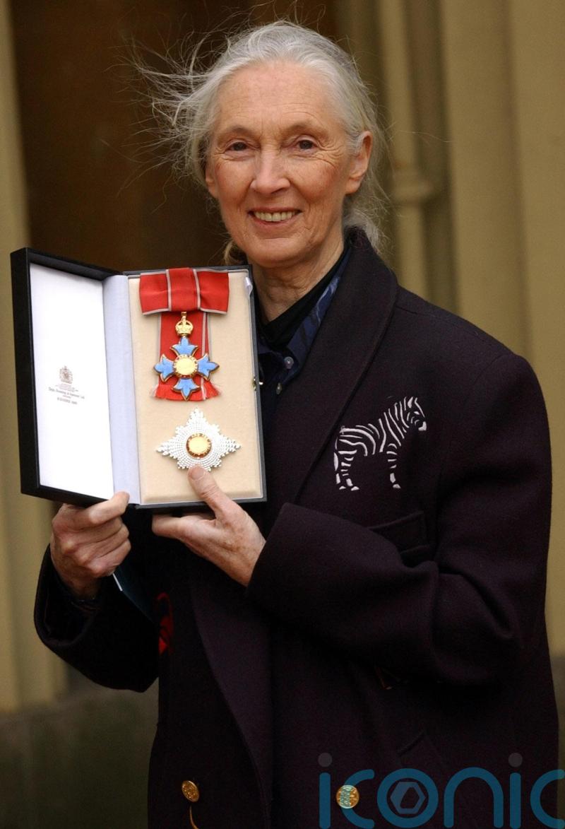 David Attenborough hails Jane Goodall as a ‘tireless advocate’ for chimpanzees
