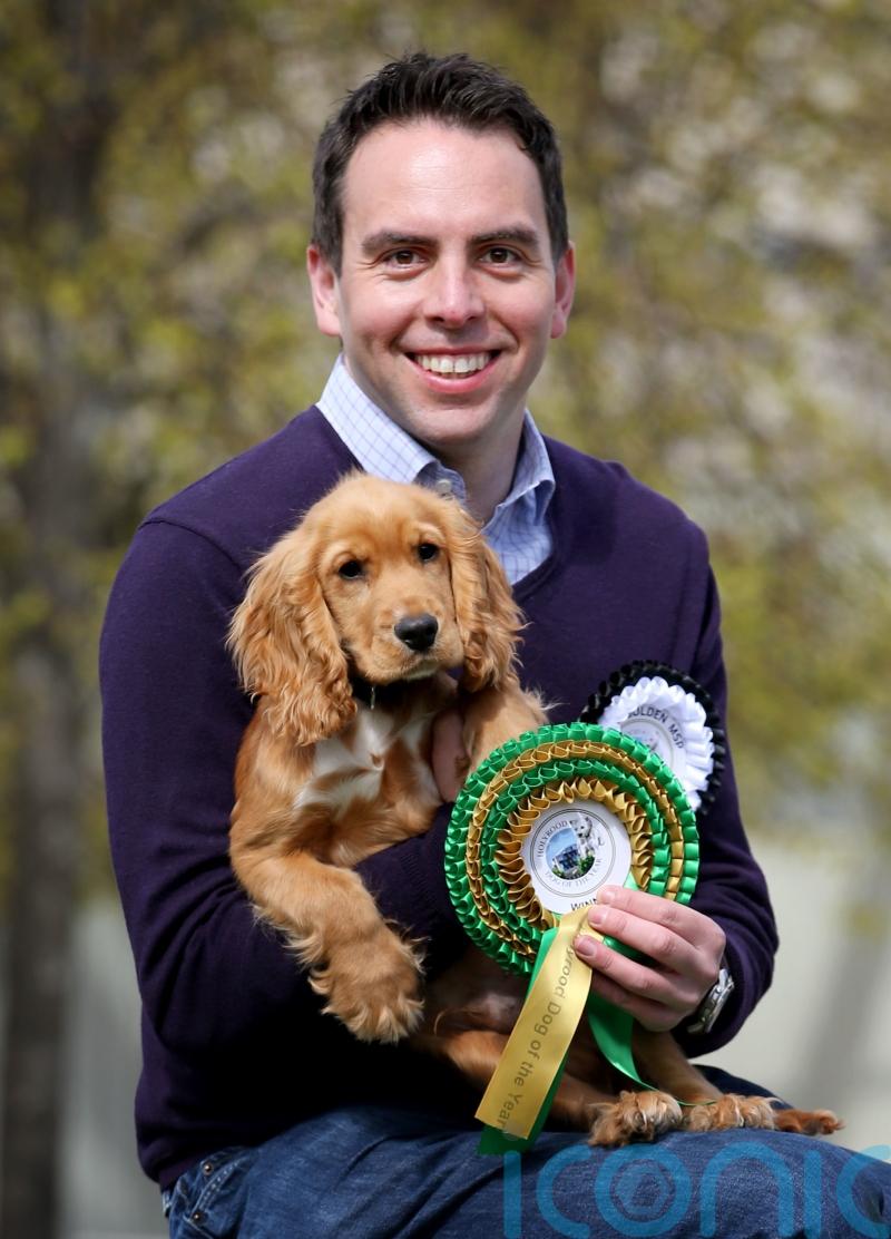 MSPs back Bill that would criminalise dog theft