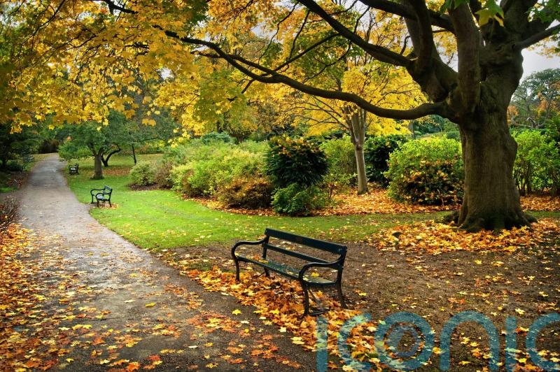 Historic gardens and parks at risk from proposed planning rule changes – charity