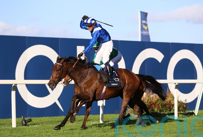 Anmaat ruled out of Champion Stakes defence