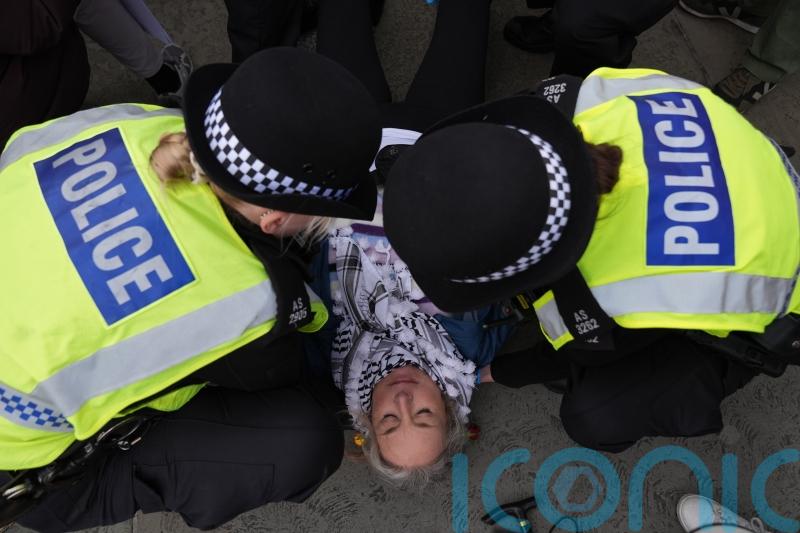 Police arrest almost 500 people over Palestine Action support