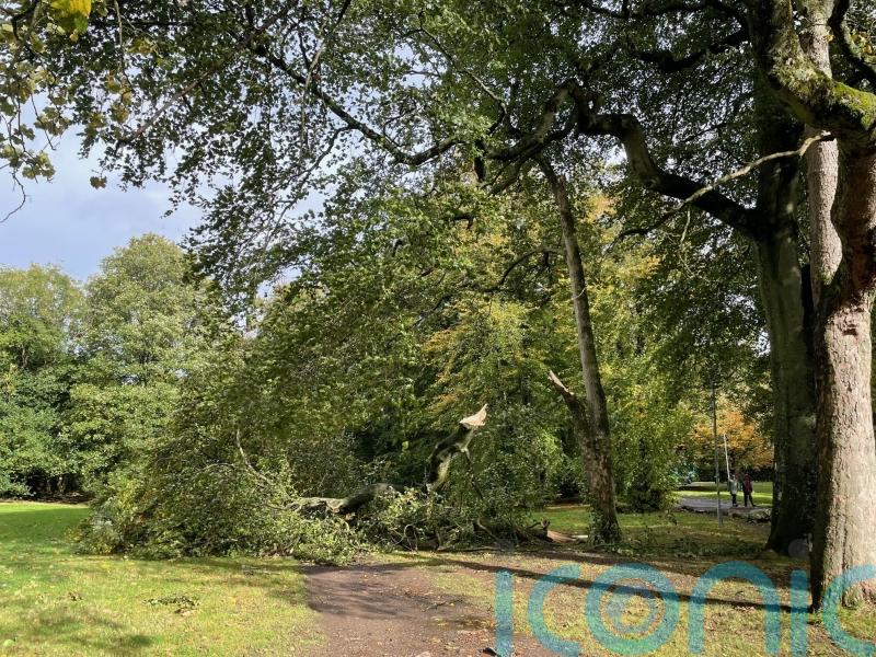 Around 17,000 homes still without power after Storm Amy