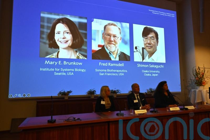 Nobel Prize in Medicine honours work on peripheral immune tolerance