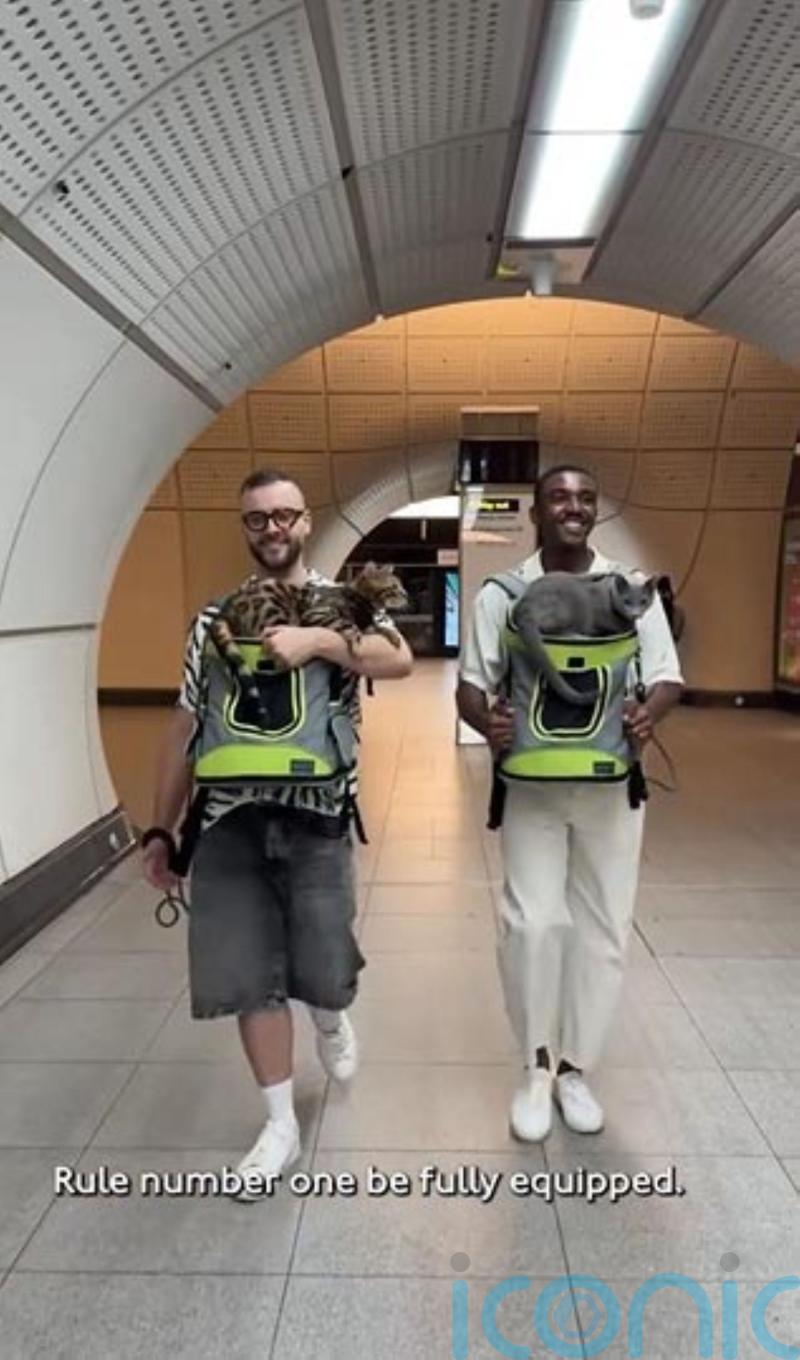 Animal charity asks TfL to remove ‘disturbing’ post about taking cats on Tube
