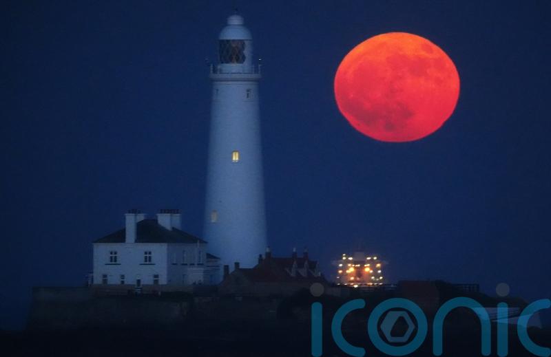 October supermoon ‘visible from anywhere’ on Tuesday night, say astronomers