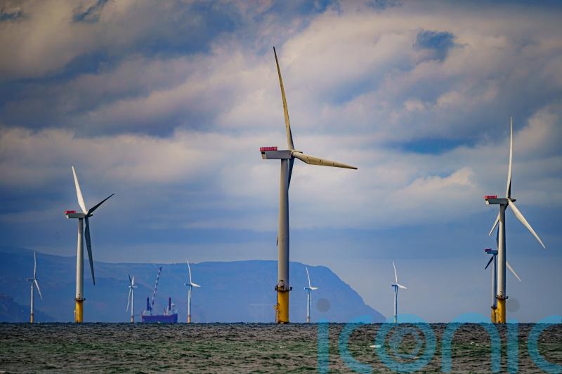Poll suggests most Reform UK voters back investment in renewable energy