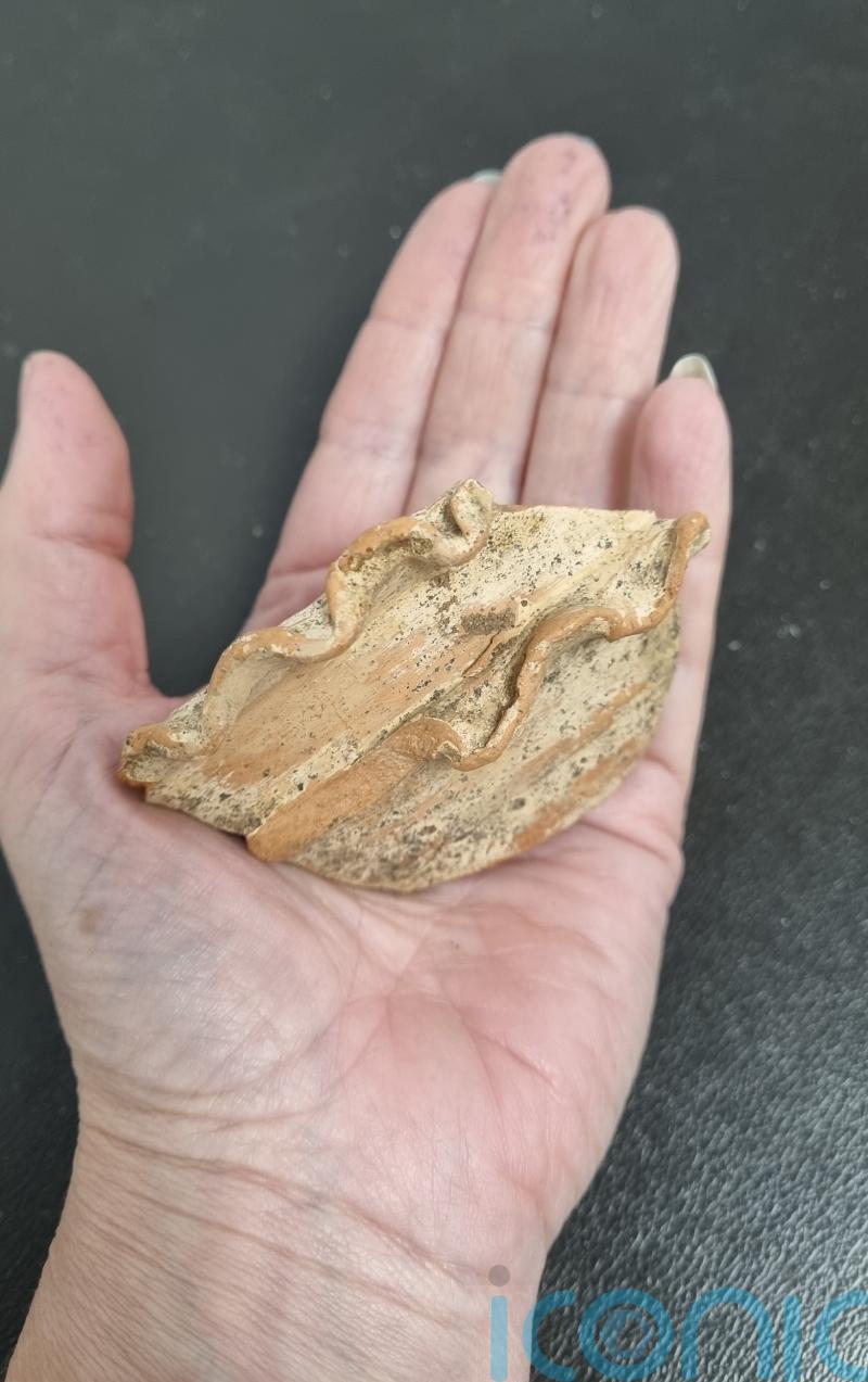 Incense bowl and helmet handle among finds at National Trust estate dig