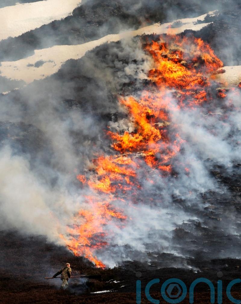 Landowner group welcomes second muirburn licensing delay
