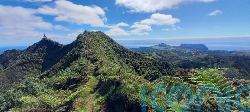 Lemurs, eagles and St Helena’s cloud forest receive UK conservation funding