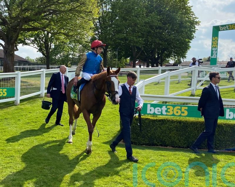 Damysus primed to end his season on a high