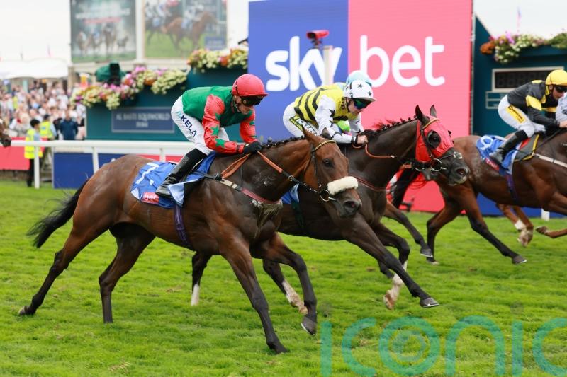 Dods back for York finale with his sprinting aces