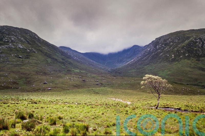 Changes needed to land reform Bill to win Green support, says Greer