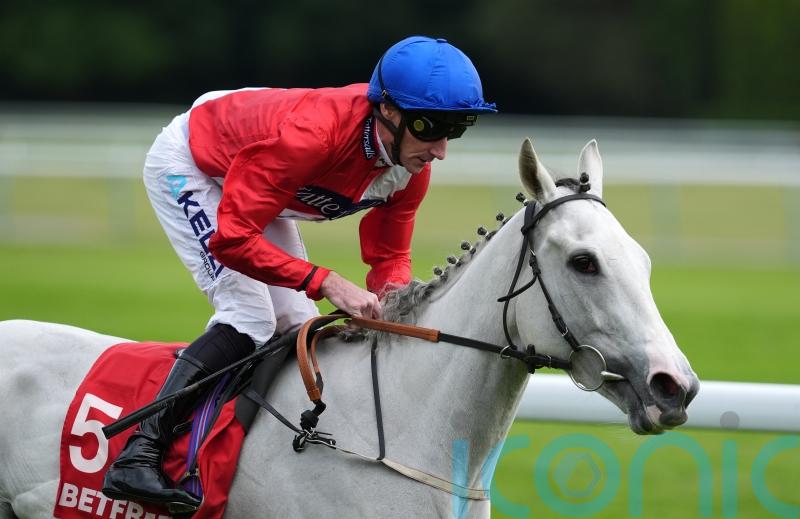 O’Meara hoping Estrange can make Ascot mark