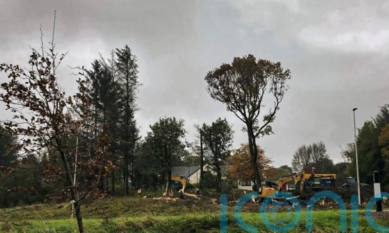 Restaurant owners admit ‘mistake’ after felling dozens of trees