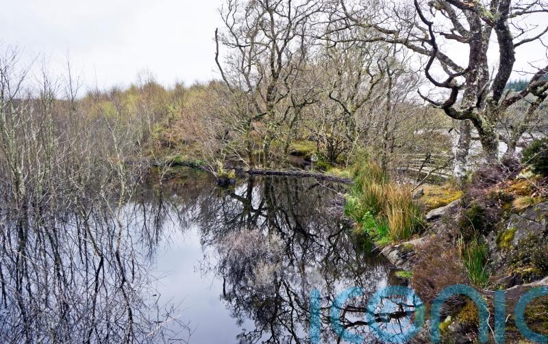 First designated nature sites named in bid to safeguard 30% of Scottish land