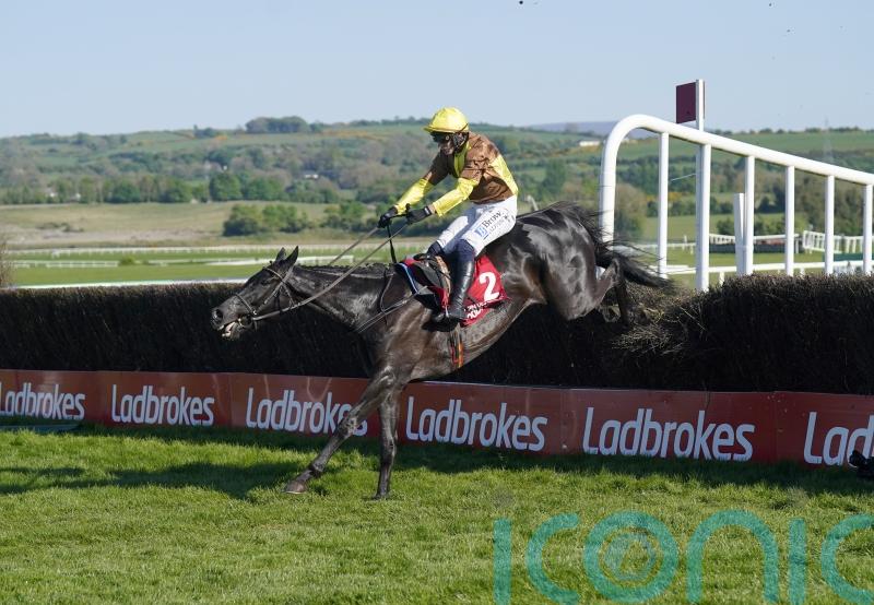 Ladbrokes owner Entain sees growth slow after punter-friendly sports results